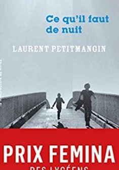 Ce qu'il faut de nuit - Laurent Petitmangin 