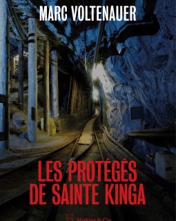 Les protégés de Sainte Kinga - Marc Voltenauer