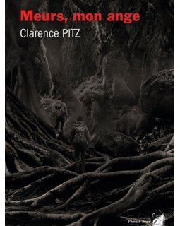Meurs, mon ange - L'interrogatoire de Clarence Pitz