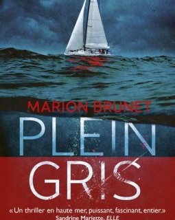 Plein Gris - Marion Brunet