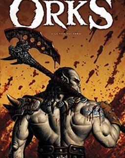 Orks - tome 1 - Niko Tackian 