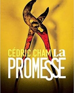 La Promesse - Cédric Cham 