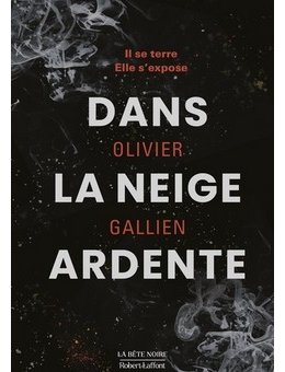 Dans la Neige Ardente - L'interrogatoire d'Olivier Gallien