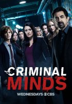 Esprit criminel - Saison 13