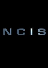 NCIS : Hawaï - Un crossover en préparation