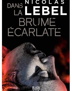 La tournée de printemps de Nicolas Lebel - Mai / juillet 2019
