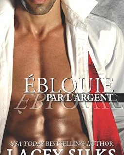 Éblouie par l'Argent : Introduction à la série des Cicatrices - Lacey Silks