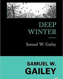 Deep Winter - Samuel W. Gailey 