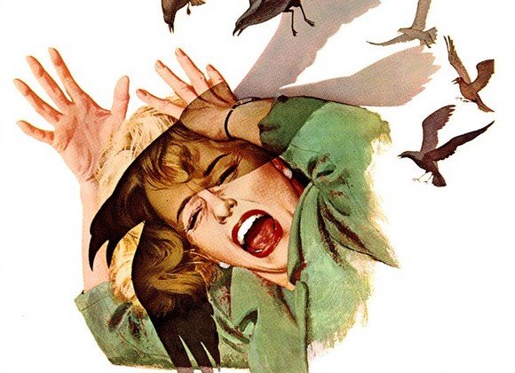 Les Oiseaux d’Alfred Hitchcock va devenir une mini-série&nbsp;!
