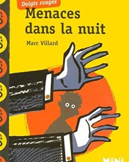 Menaces dans la nuit