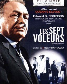 Les sept voleurs