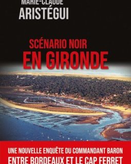Scénario noir en Gironde - Marie-Claude Aristégui