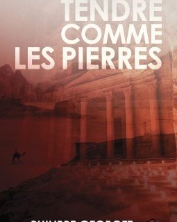 Tendre comme les pierres - Philippe Georget