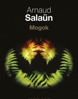 Mogok - Arnaud Salaün