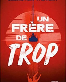 Un frère de trop - Sébastien Théveny