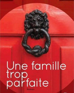 Une famille trop parfaite - Rachel Abbott