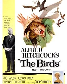 Les Oiseaux d'Alfred Hitchcock va devenir une mini-série !