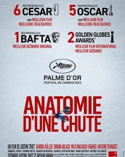Anatomie d'une chute arrive ce dimanche sur France 2 !