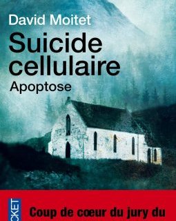 Suicide cellulaire - David MOITET 