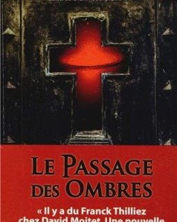  LE PASSAGE DES OMBRES - David Moitet 