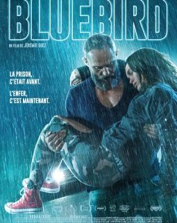 Bluebird - Jérémie Guez 