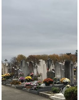 L'invité surprise...