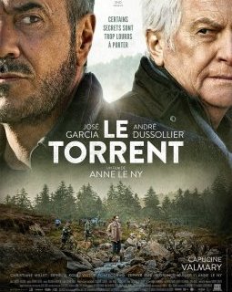 Le Torrent - Anne Le Ny