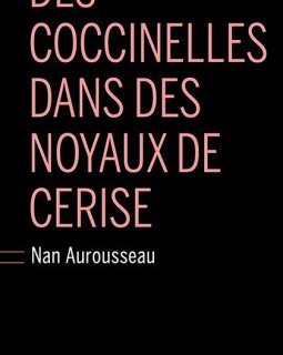 Des coccinelles dans des noyaux de cerises - Nan Aurousseau