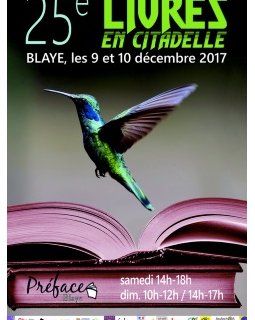 Olivier Norek à Livres en Citadelle !