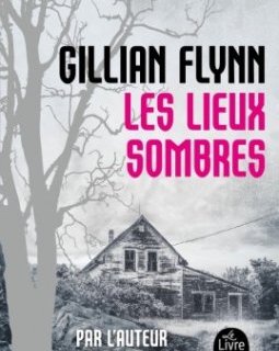 Les Lieux sombres - Gillian Flynn