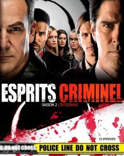 Esprit criminel - Saison 2