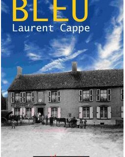 Bleu - Laurent Cappe