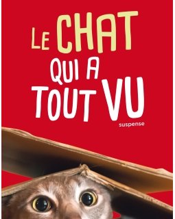 Le chat qui a tout vu - Sam Gasson
