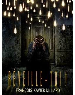 Réveille-toi, le dernier roman de François-Xavier Dillard