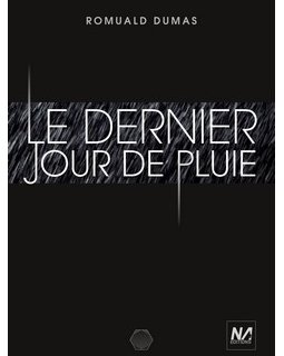 Le Dernier jour de pluie - L'interrogatoire de Romuald Dumas