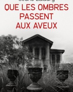 L'interrogatoire de Cedric Lalaury 