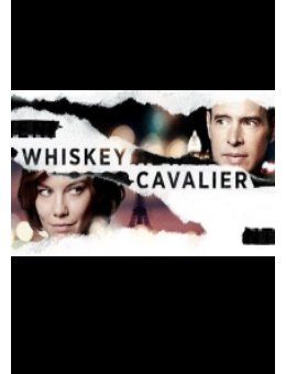 Whiskey Cavalier arrive sur TF1