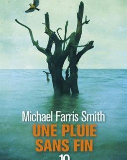 Une pluie sans fin - Michael Farris Smith