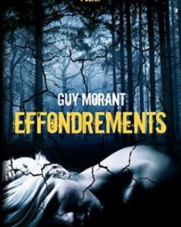 Effondrements - Guy Morant