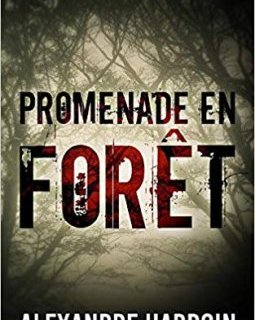 Promenade en forêt - Alexandre Hardoin