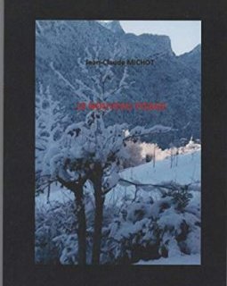 Le nouveau visage - Jean-Claude MICHOT