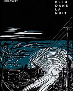 Du Bleu dans la nuit - Jean-Charles Chapuzet