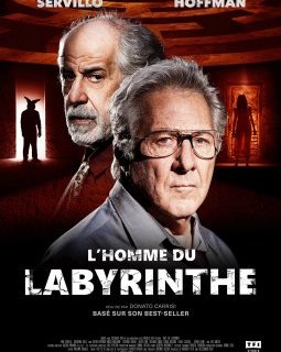 l'Homme du labyrinthe - Donato Carrisi