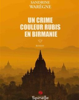 Un crime couleur rubis en Birmanie - Sandrine Warêgne