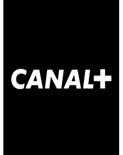 De nouvelles chaînes de cinéma pour Canal +