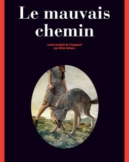 Le Mauvais chemin - Mikel Santiago