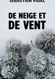 De neige et de vent - Sébastien Vidal