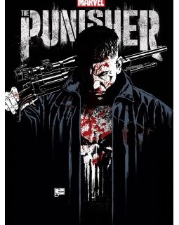 The Punisher est de retour