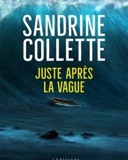 Juste après la vague - Sandrine Collette