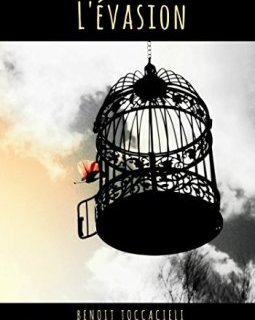 L'évasion - Benoit Toccacieli